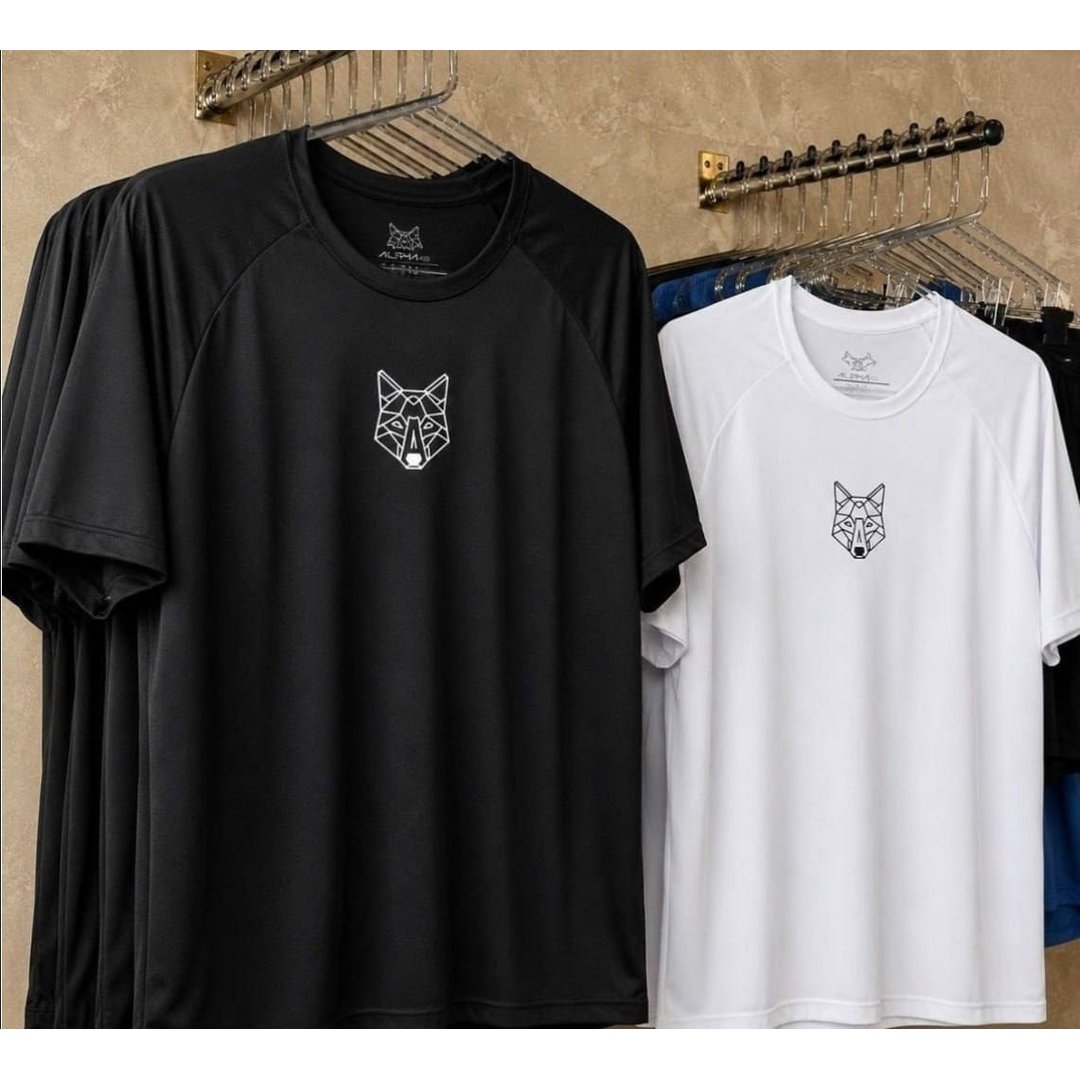 Kit 2 Camisetas Masculina Dry Alpha Co